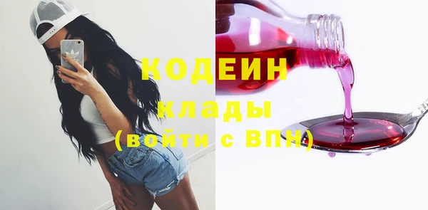 эйфоретик Богданович