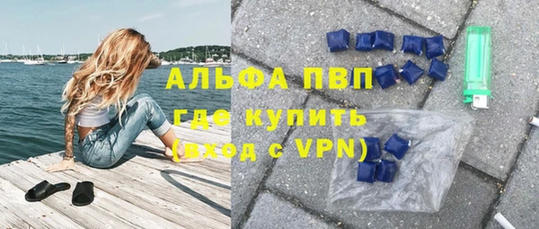 эйфоретик Богданович