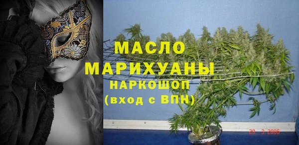 мдпв Бородино