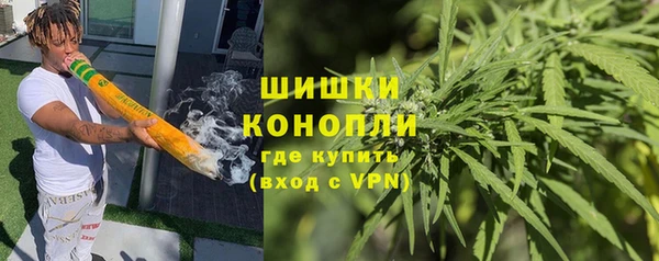 стаф Богородск