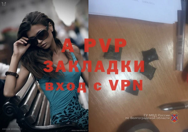 эйфоретик Богданович