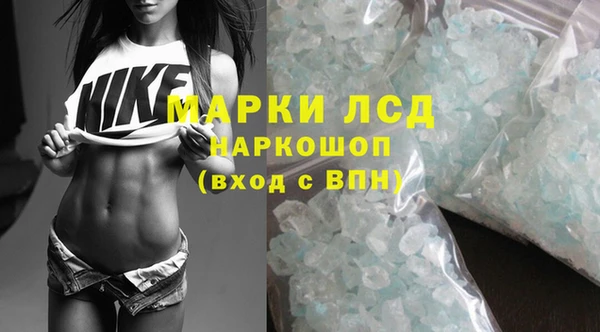 a pvp Аркадак