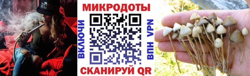 Псилоцибиновые грибы ЛСД нарко площадка клад Суворов где найти наркотики